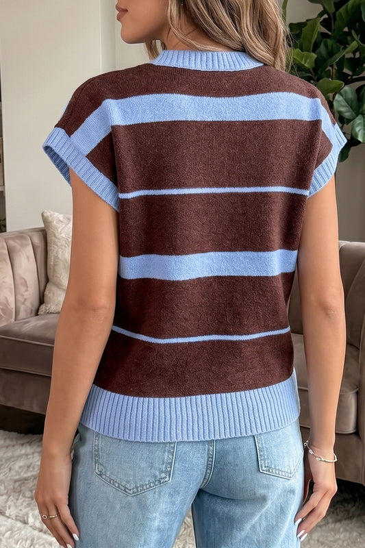 Sky Blue Stripe Striped Short Sleeve Round Neck Casual Knit Top